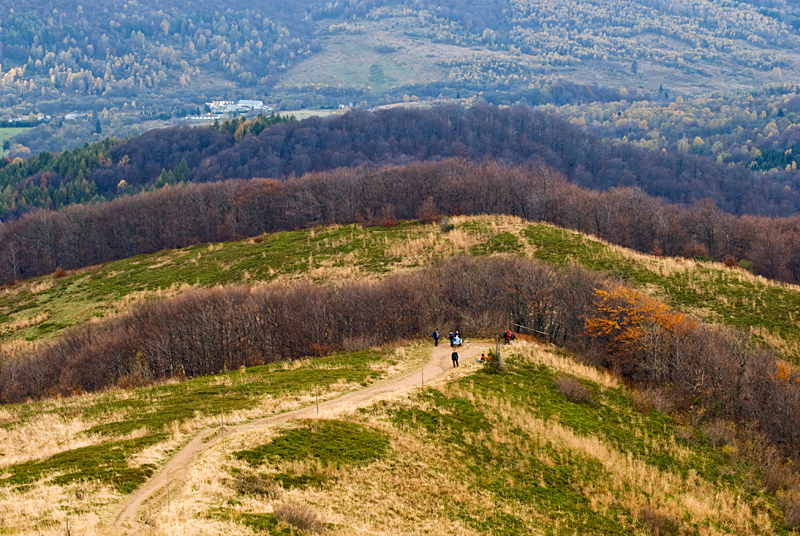 29_Bieszczady_Tarnica.jpg