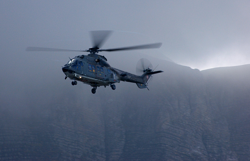 07_Axalp_Cougar.jpg