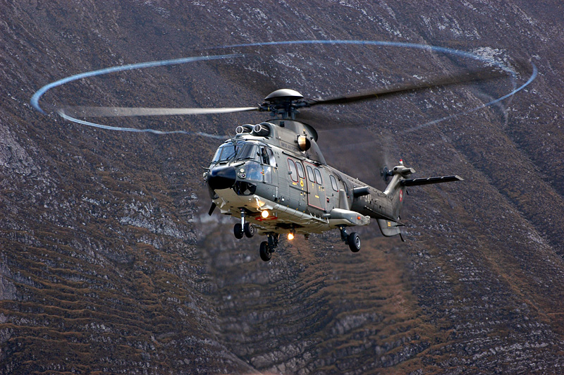 08_Axalp_Cougar.jpg
