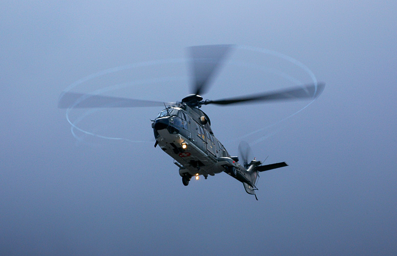 09_Axalp_Cougar.jpg