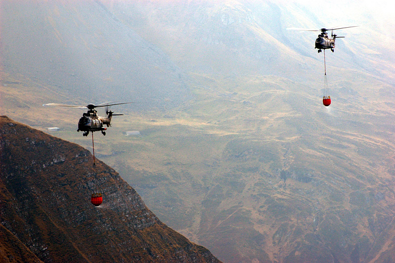 15_Axalp_Cougar.jpg
