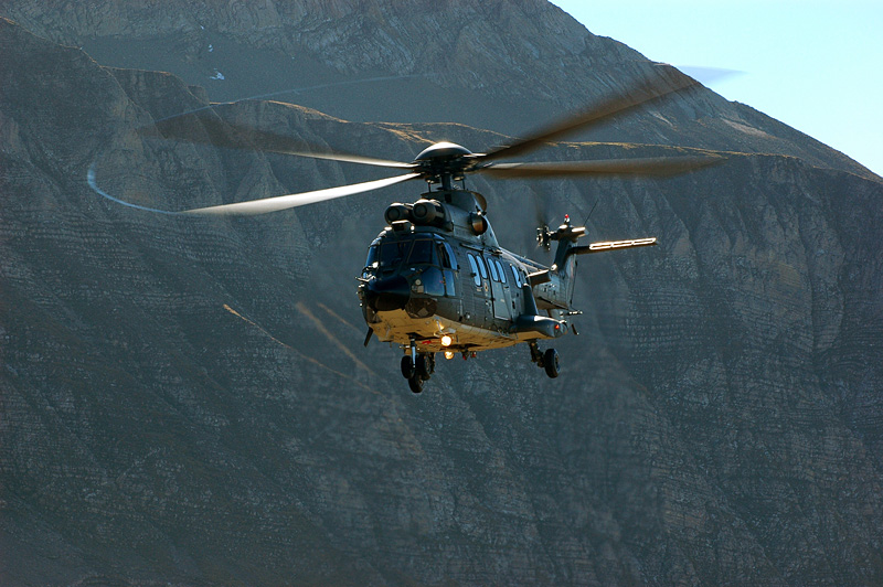 39_Axalp_Cougar.jpg