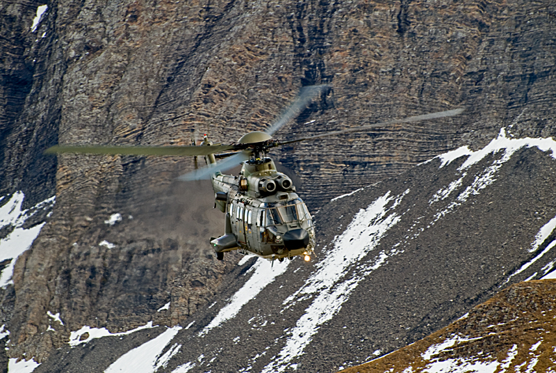 072_Axalp_Cougar.jpg