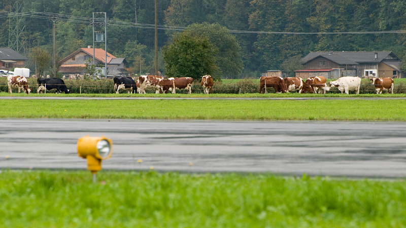70_Meiringen.jpg