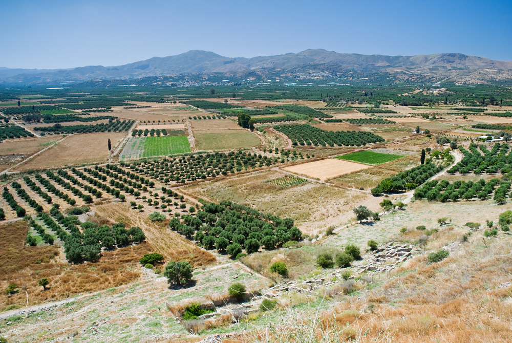 385_Kreta_Fajstos.jpg
