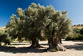 372_Kreta_Gortyna