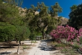 376_Kreta_Gortyna