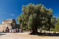 377_Kreta_Gortyna