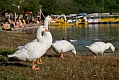 413_Kreta_Kournas