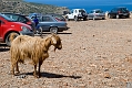 492_Kreta_Balos