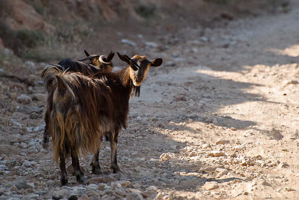 051_Kreta_Balos.jpg