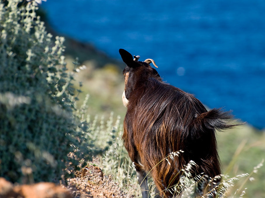 052_Kreta_Balos.jpg
