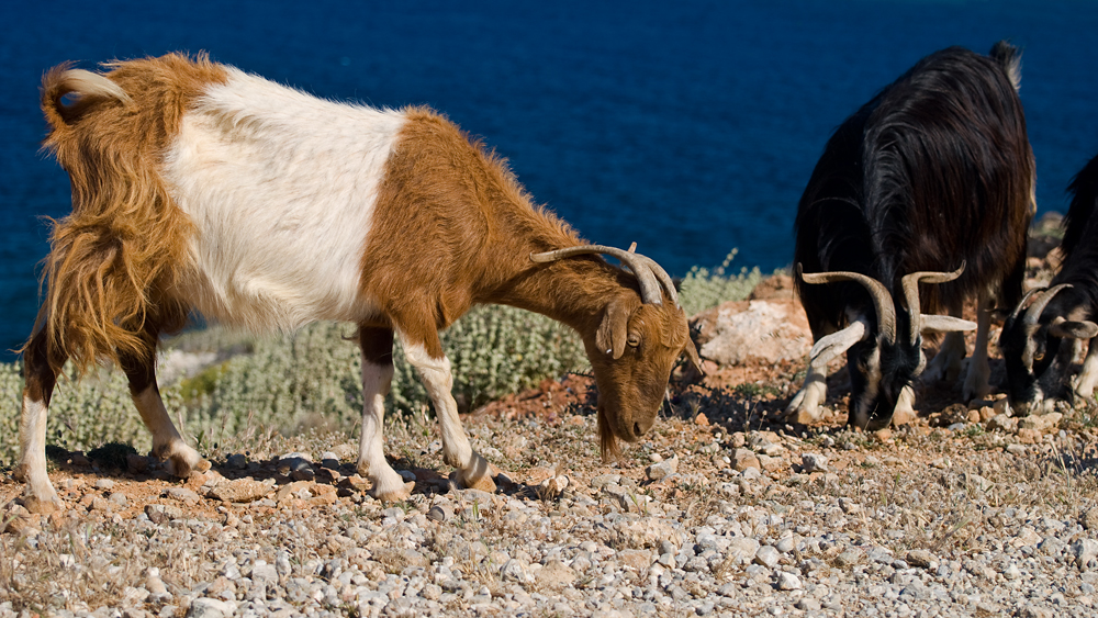 055_Kreta_Balos.jpg