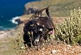 046_Kreta_Balos