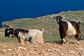 047_Kreta_Balos