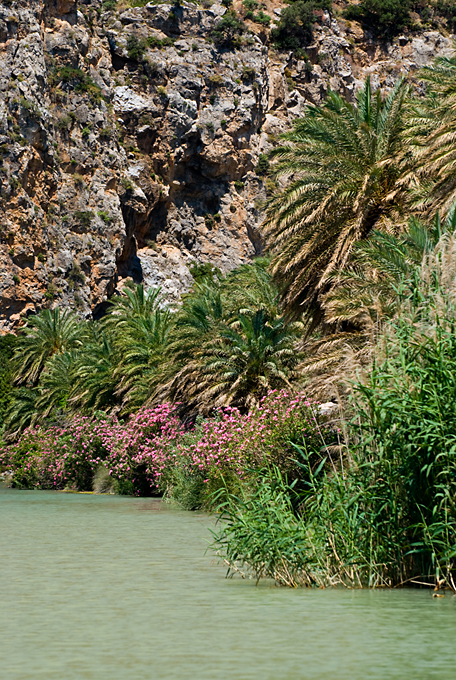073_Kreta_Preveli.jpg