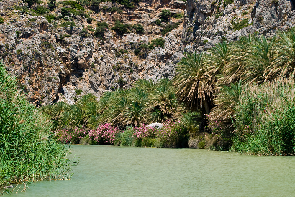 074_Kreta_Preveli.jpg