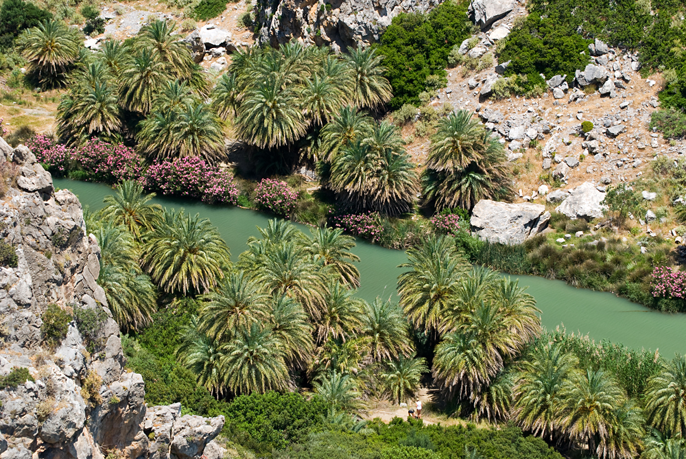 077_Kreta_Preveli.jpg