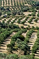 066_Kreta