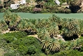 078_Kreta_Preveli