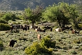 113_Kreta_Omalos
