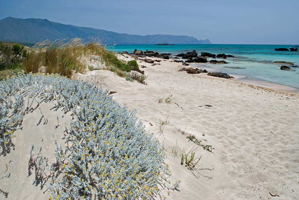138_Kreta_Elafonisi.jpg