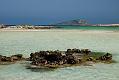 127_Kreta_Elafonisi