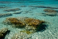 130_Kreta_Elafonisi