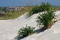 135_Kreta_Elafonisi