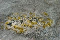 139_Kreta_Elafonisi