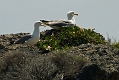 148_Kreta_Elafonisi