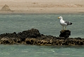 151_Kreta_Elafonisi