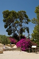 170_Kreta_Knossos