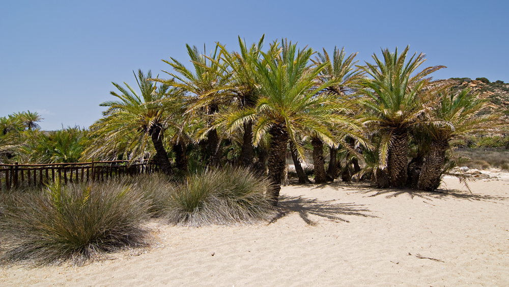 216_Kreta_Vai.jpg
