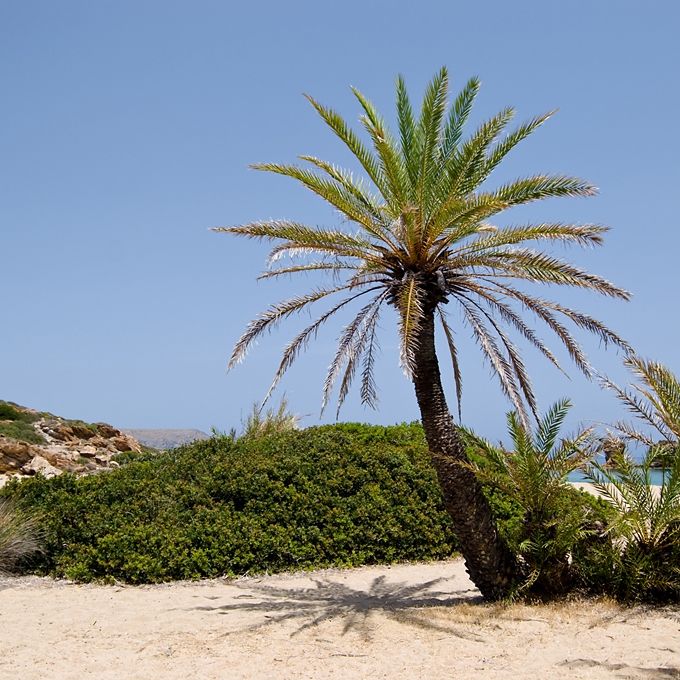 217_Kreta_Vai.jpg