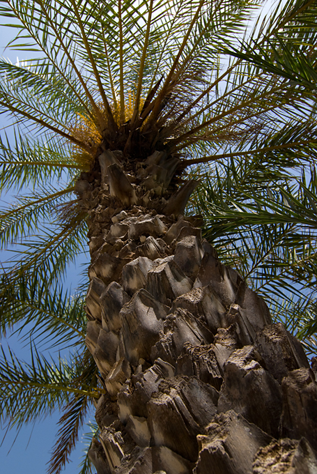 229_Kreta_Vai.jpg