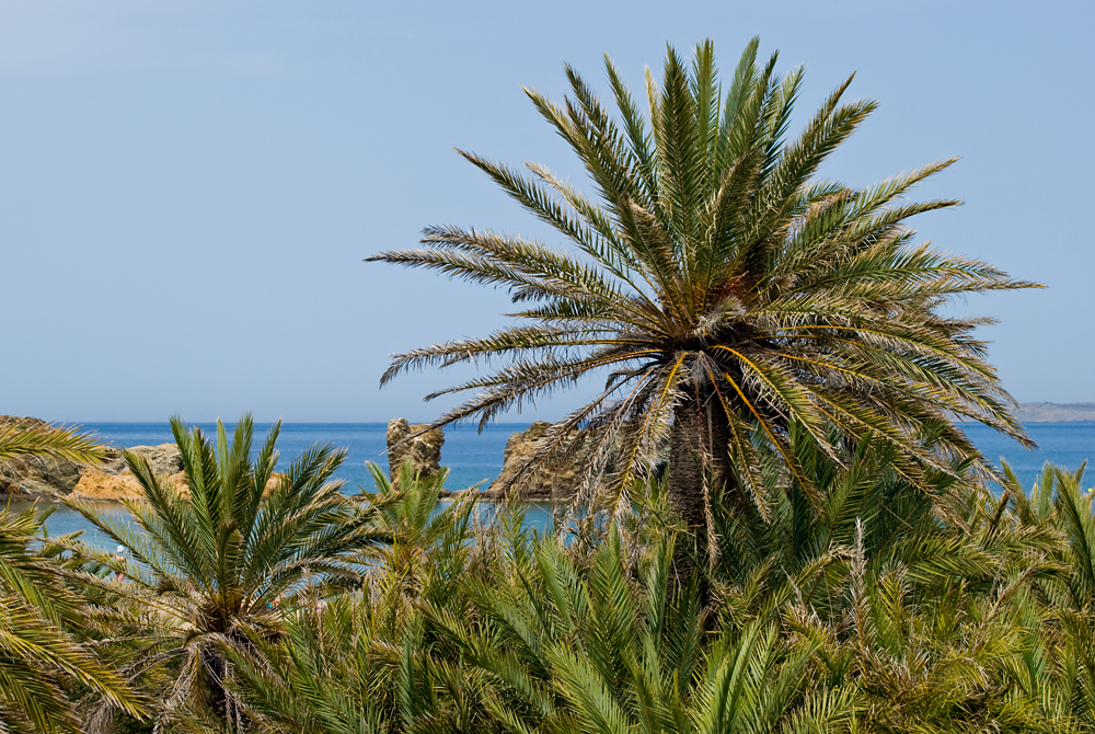 232_Kreta_Vai.jpg
