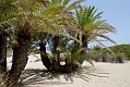 215_Kreta_Vai