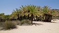 216_Kreta_Vai