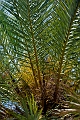 225_Kreta_Vai