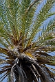 226_Kreta_Vai