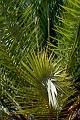 227_Kreta_Vai