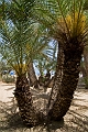 228_Kreta_Vai
