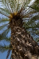 229_Kreta_Vai