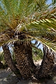 230_Kreta_Vai