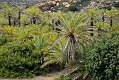 231_Kreta_Vai