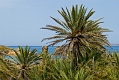 232_Kreta_Vai