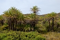 233_Kreta_Vai