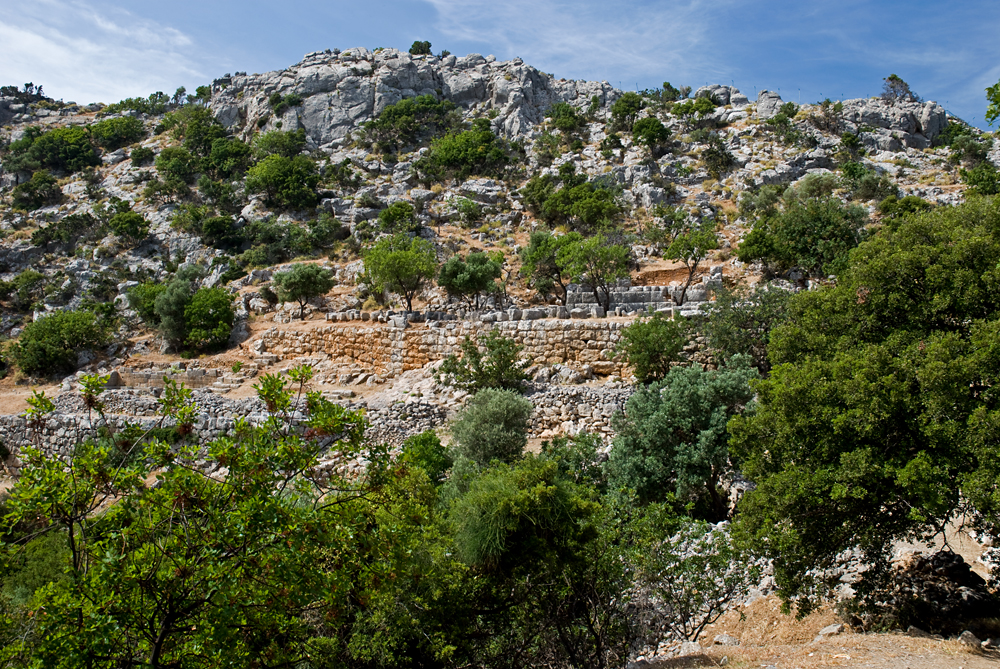 256_Kreta_Lato.jpg