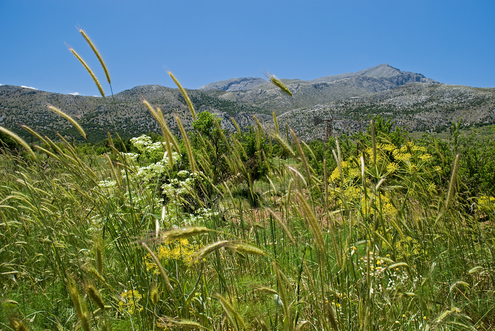 267_Kreta_Lasithi.jpg